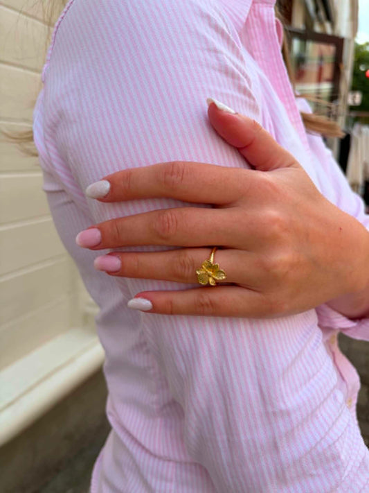 Liv-ring