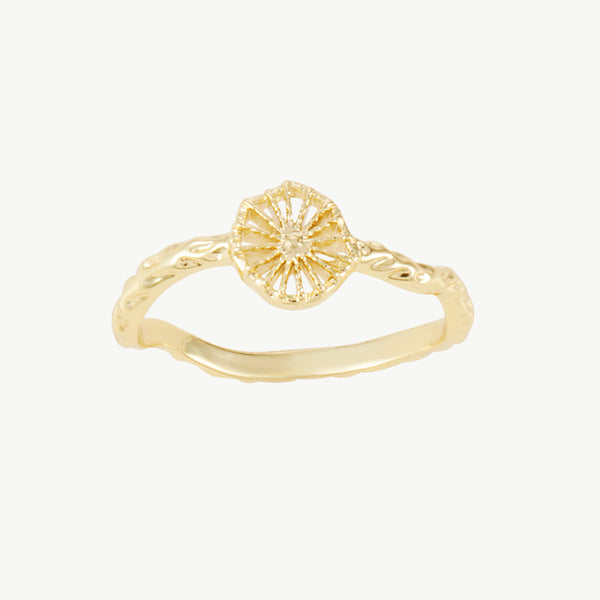 Berättarring