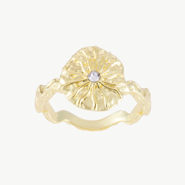 Hanna ring
