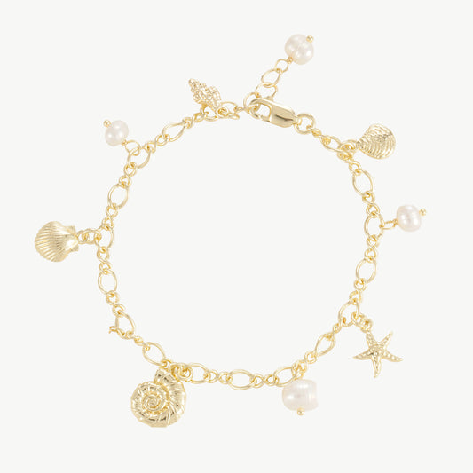 Fossil-armbånd