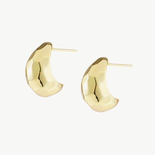Ariana ørering