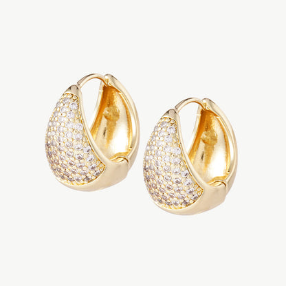 Emmy earrings