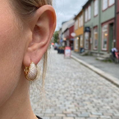Emmy earrings