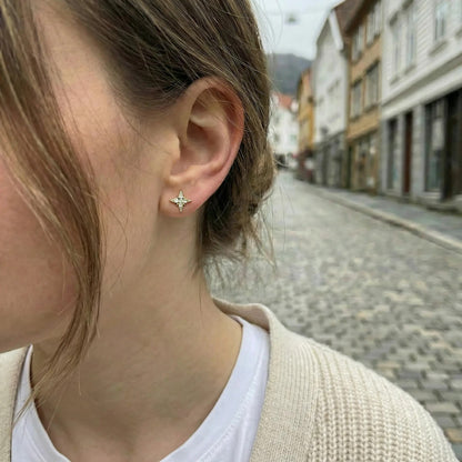 Annie earrings