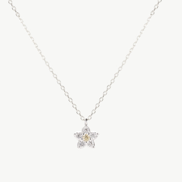 Strålande halsband