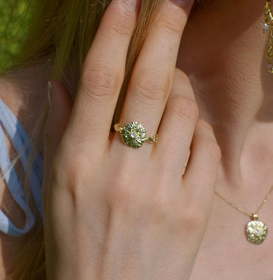 Hanna ring
