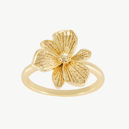 Liv-ring